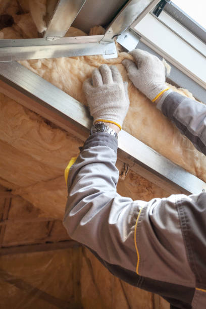 Best Crawl Space Insulation  in Germantown, IL