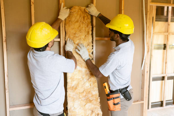 Best Insulation for New Construction  in Germantown, IL
