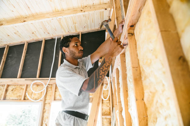 Insulation Repair Services in Germantown, IL